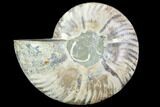 Agatized Ammonite Fossil (Half) - Crystal Chambers #88456-1